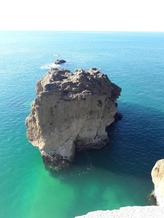 Casa Das Ondas - Praia Do Norte 纳扎雷 外观 照片